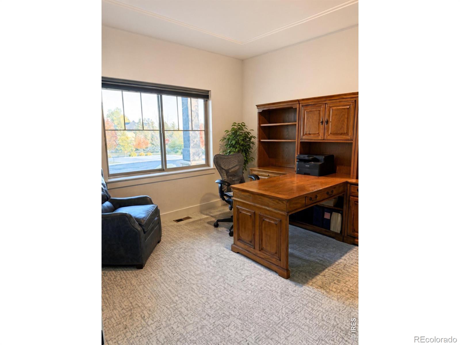 MLS Image #15 for 113  scenic court,loveland, Colorado