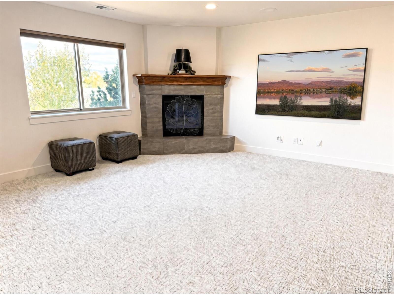 MLS Image #17 for 113  scenic court,loveland, Colorado