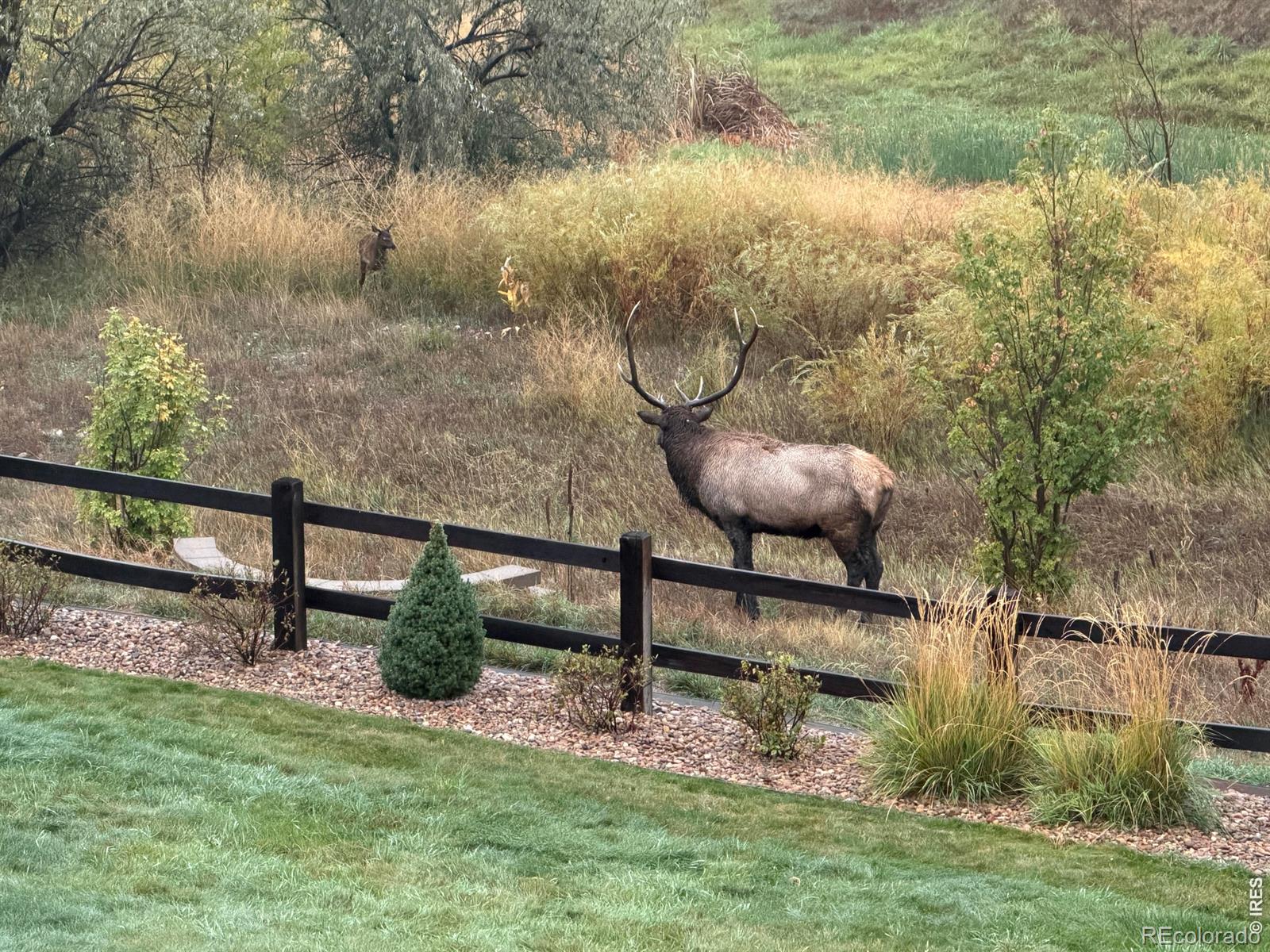 MLS Image #29 for 113  scenic court,loveland, Colorado