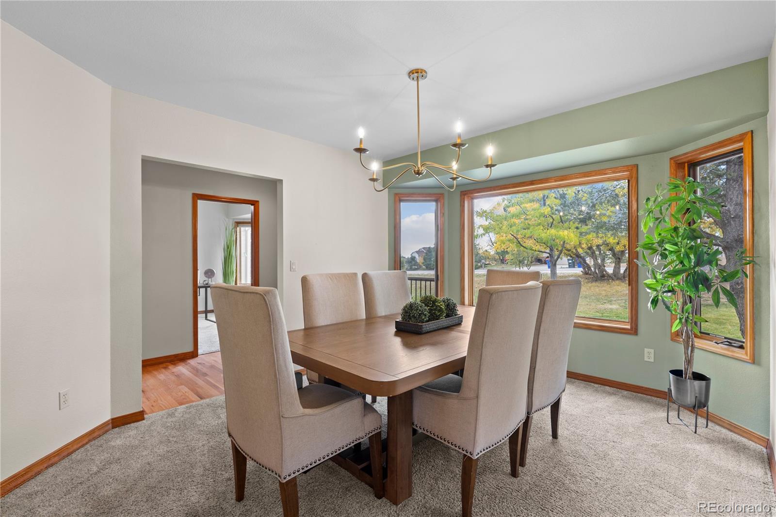 MLS Image #10 for 7625  saxeborough drive,castle rock, Colorado