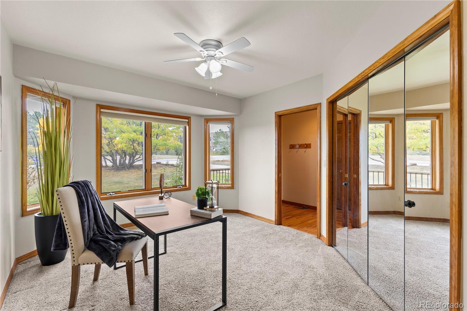 MLS Image #11 for 7625  saxeborough drive,castle rock, Colorado