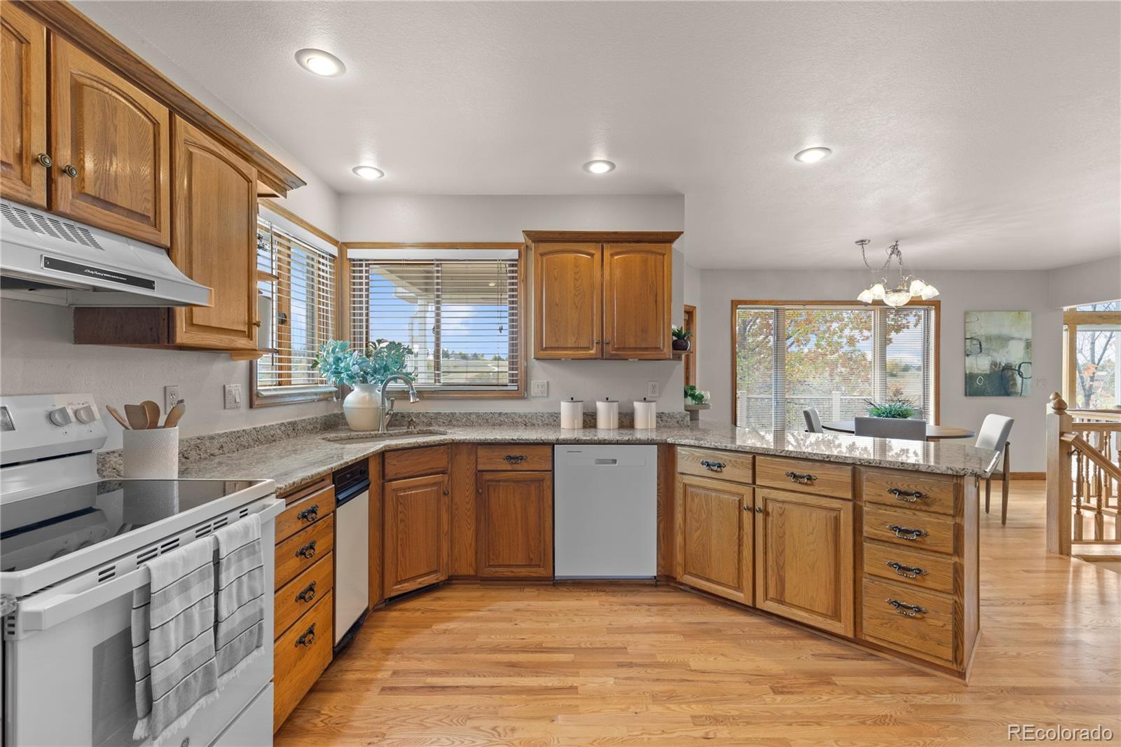 MLS Image #21 for 7625  saxeborough drive,castle rock, Colorado