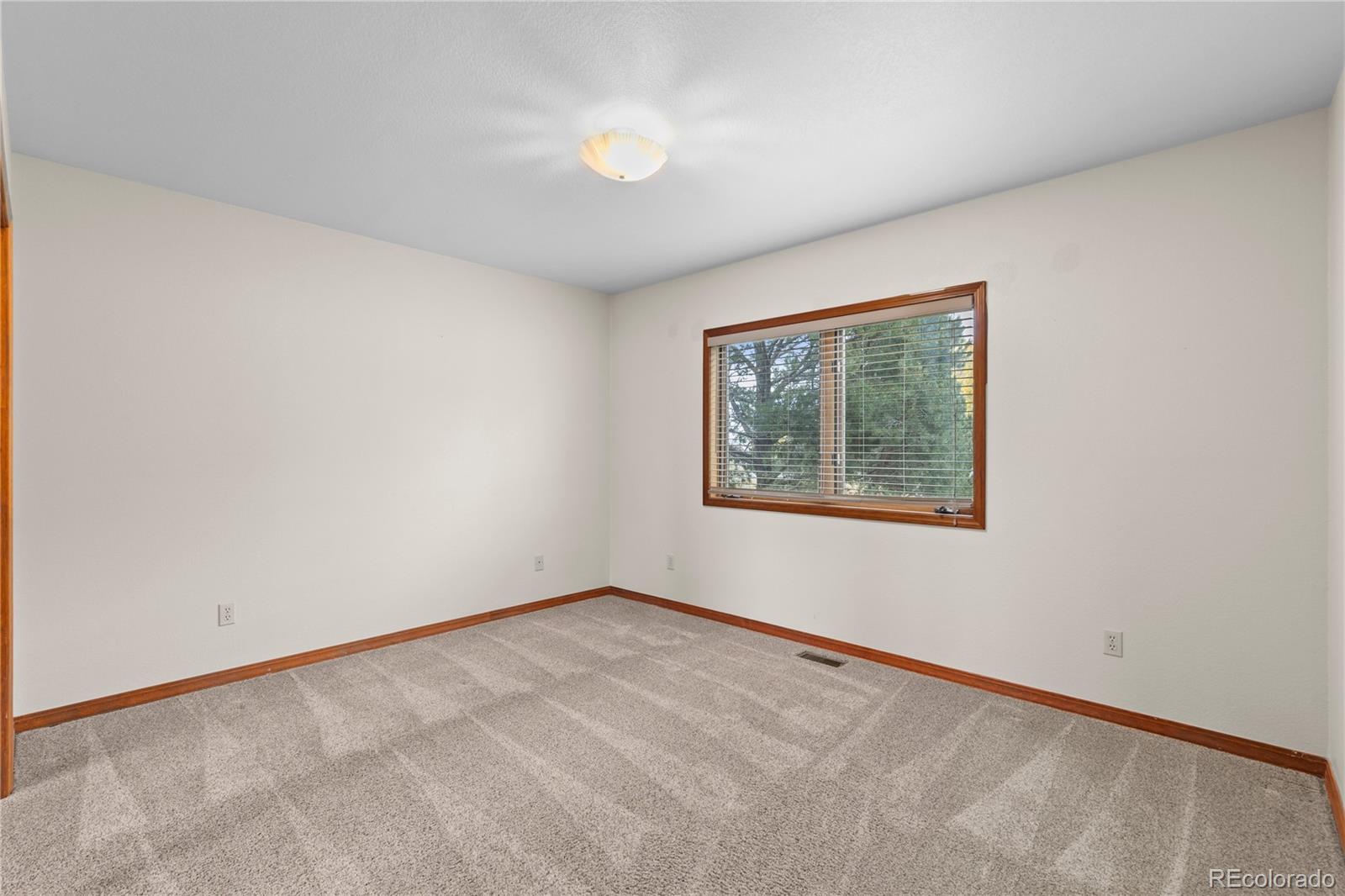 MLS Image #23 for 7625  saxeborough drive,castle rock, Colorado