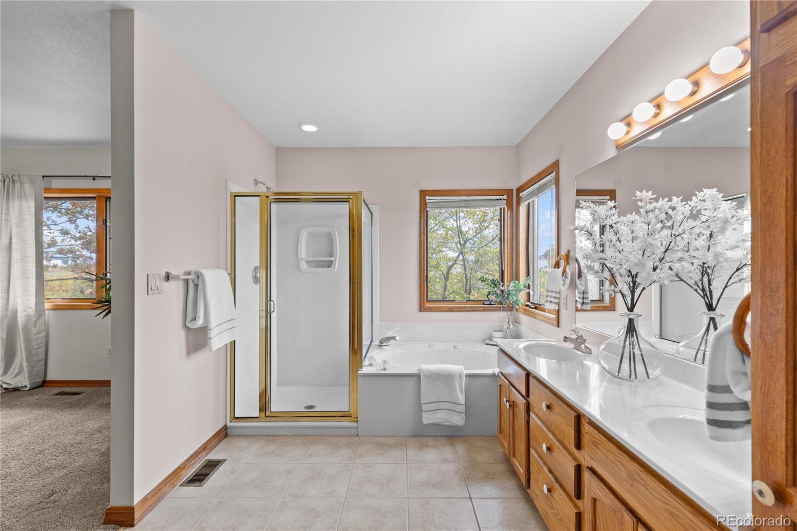 MLS Image #28 for 7625  saxeborough drive,castle rock, Colorado