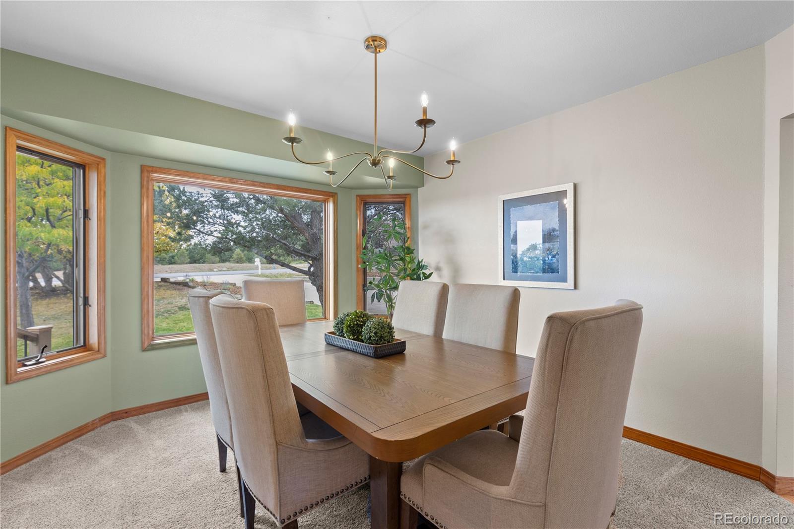 MLS Image #9 for 7625  saxeborough drive,castle rock, Colorado