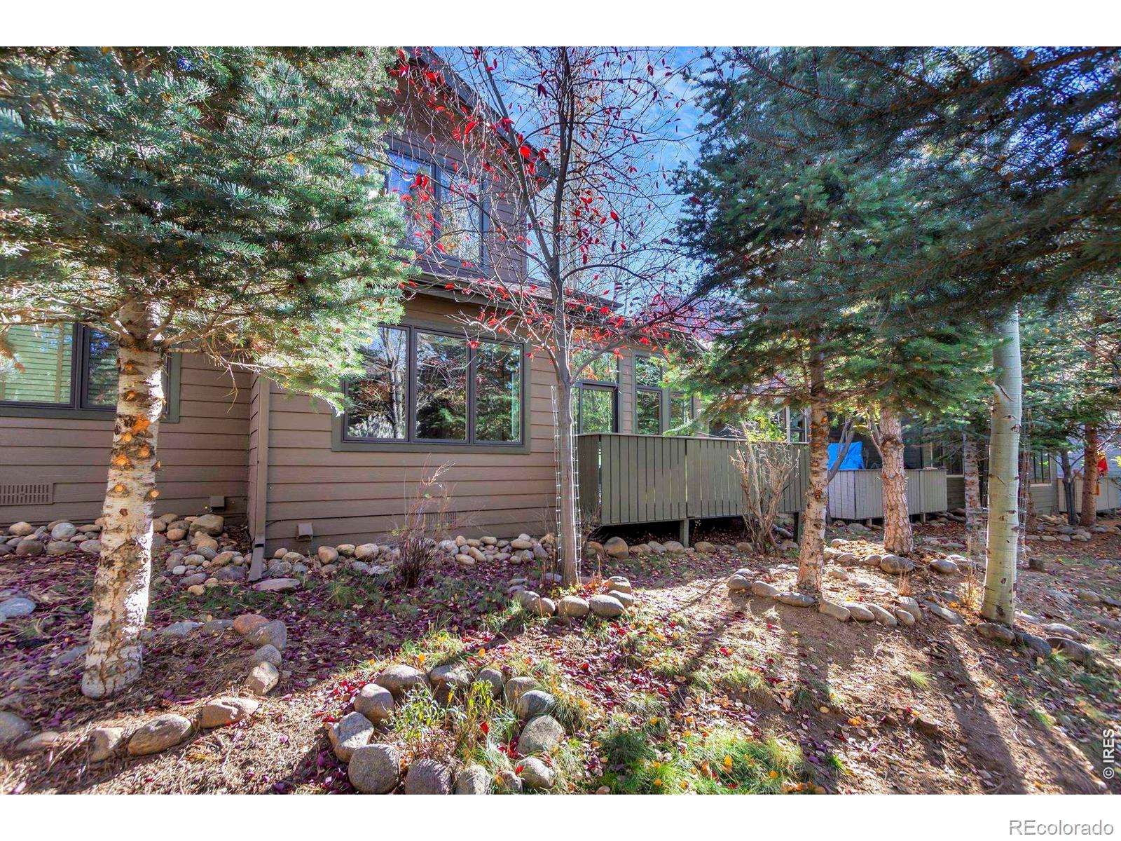 MLS Image #2 for 621  park river place,estes park, Colorado