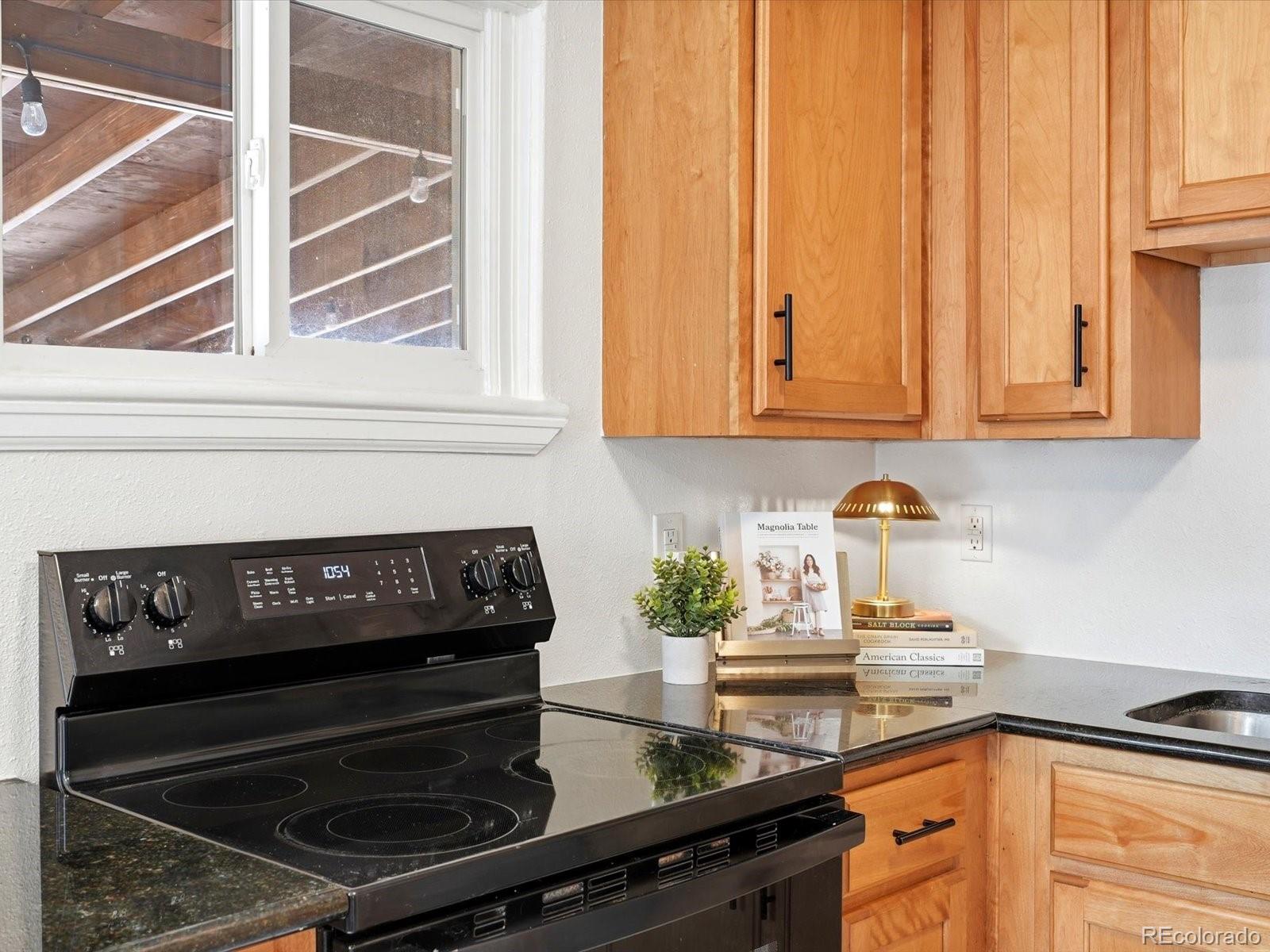 MLS Image #16 for 229 s windsor drive,denver, Colorado