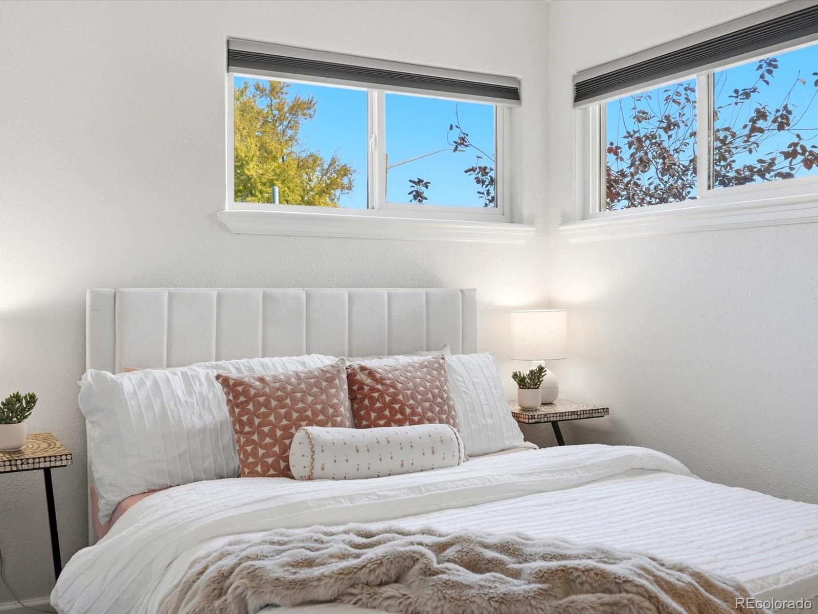 MLS Image #19 for 229 s windsor drive,denver, Colorado
