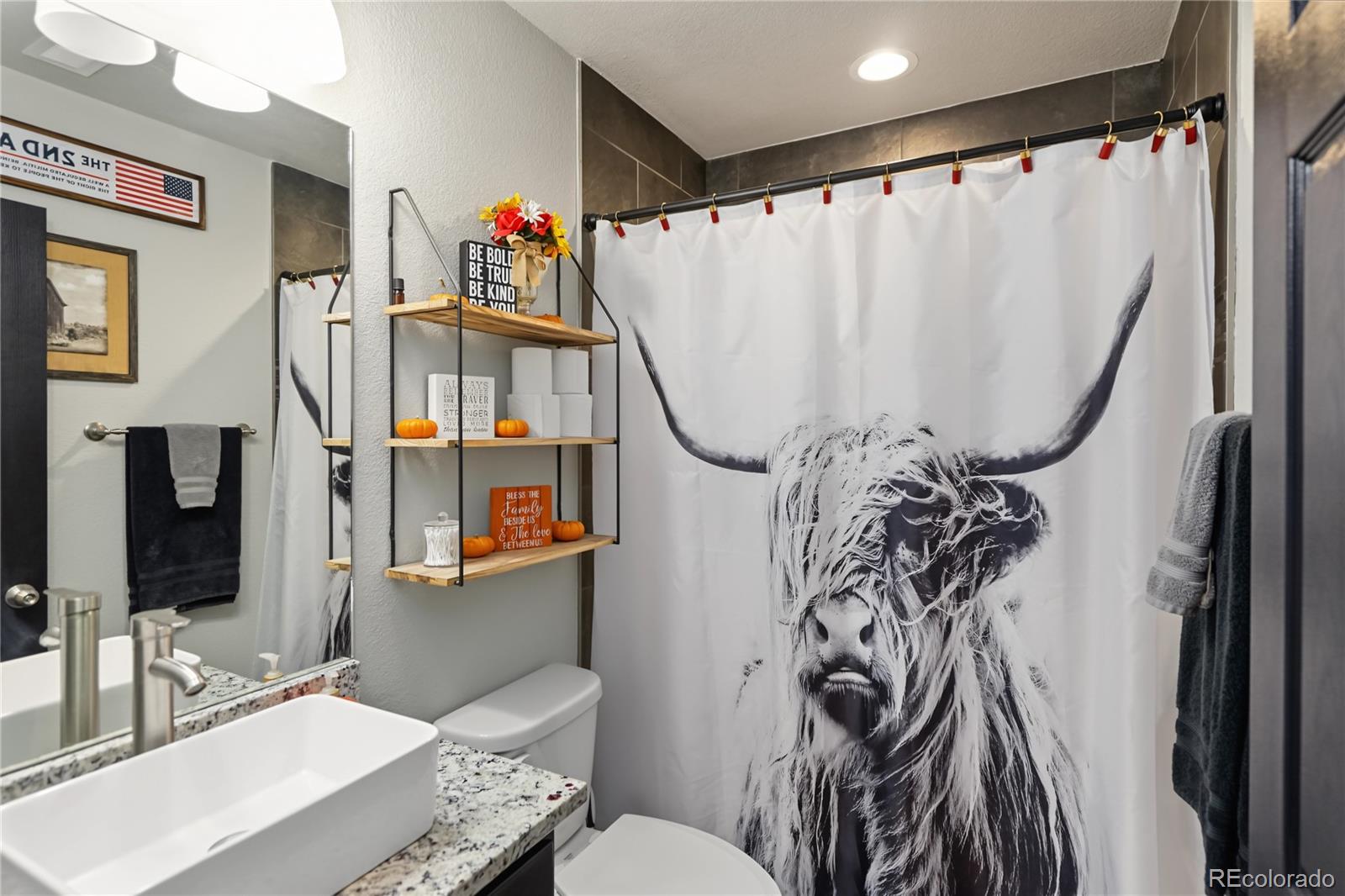 MLS Image #19 for 7206  van wyhe court,fountain, Colorado