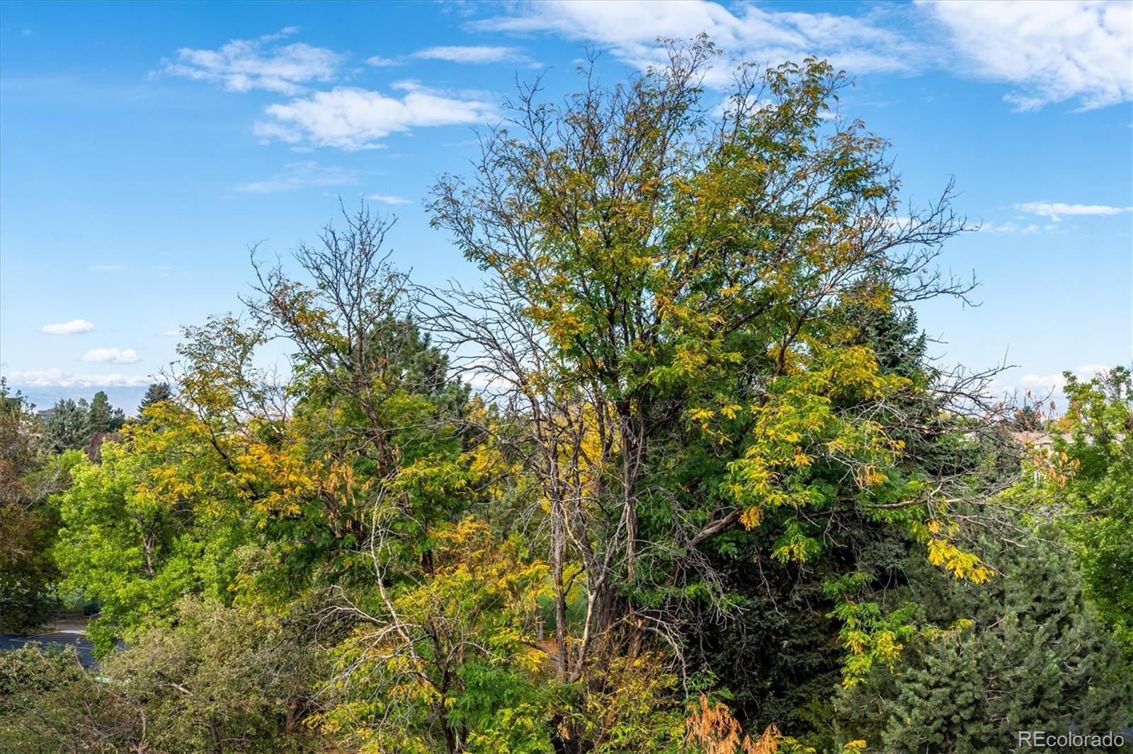 MLS Image #19 for 13691 e marina drive,aurora, Colorado