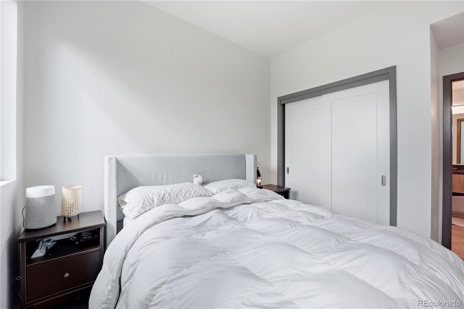 MLS Image #23 for 603  inca street,denver, Colorado