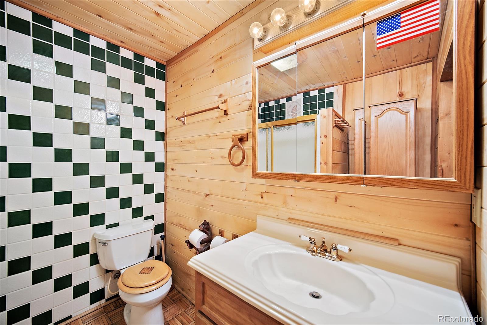MLS Image #10 for 161  county road 329 ,westcliffe, Colorado