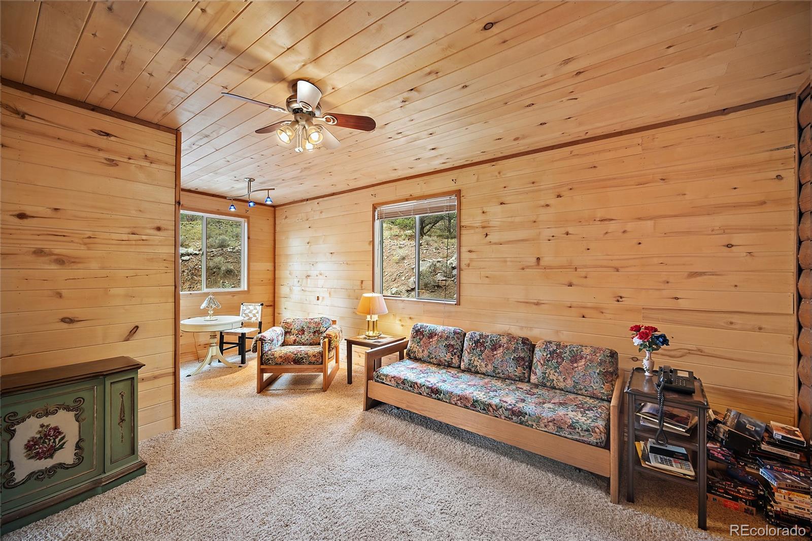 MLS Image #13 for 161  county road 329 ,westcliffe, Colorado