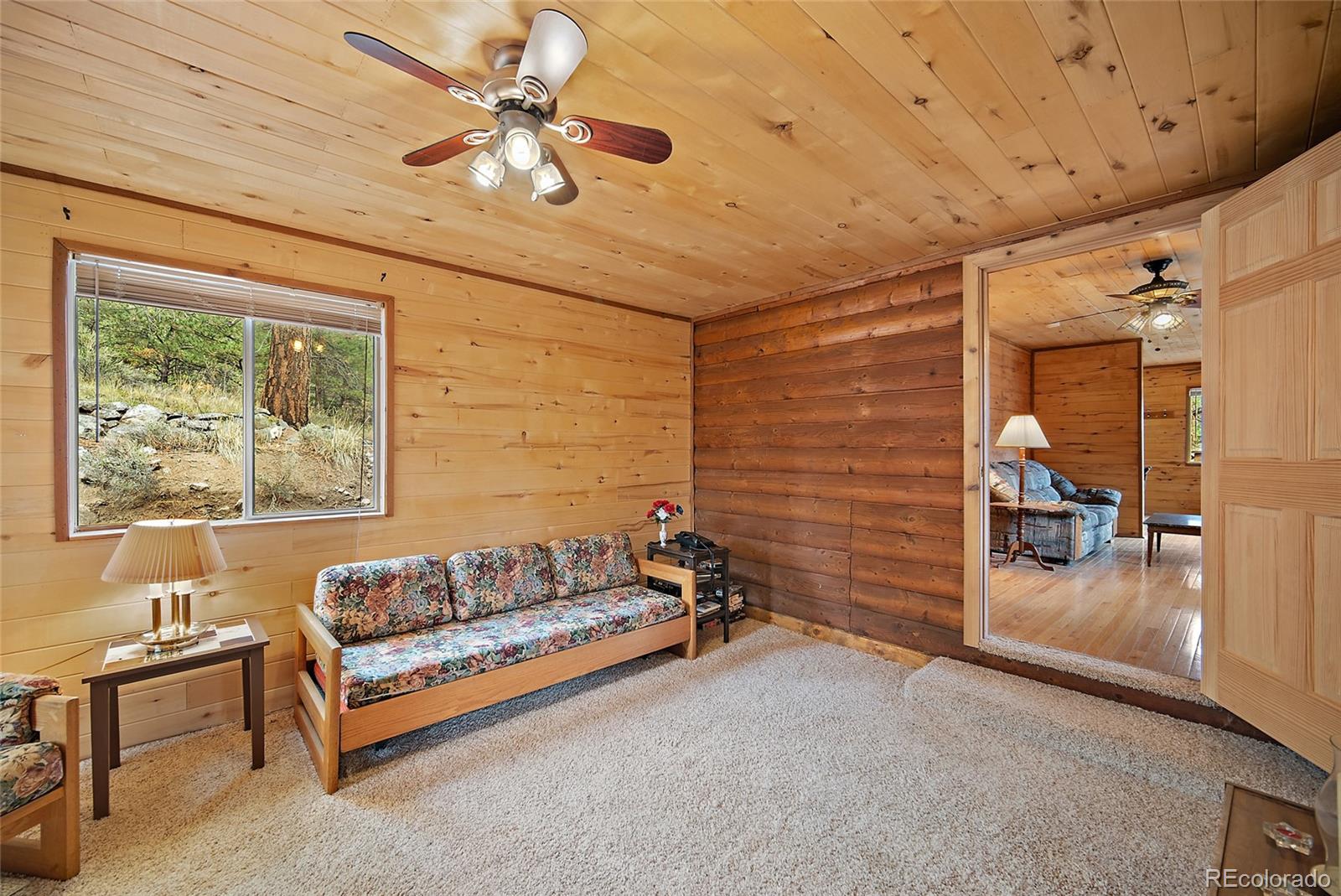 MLS Image #14 for 161  county road 329 ,westcliffe, Colorado