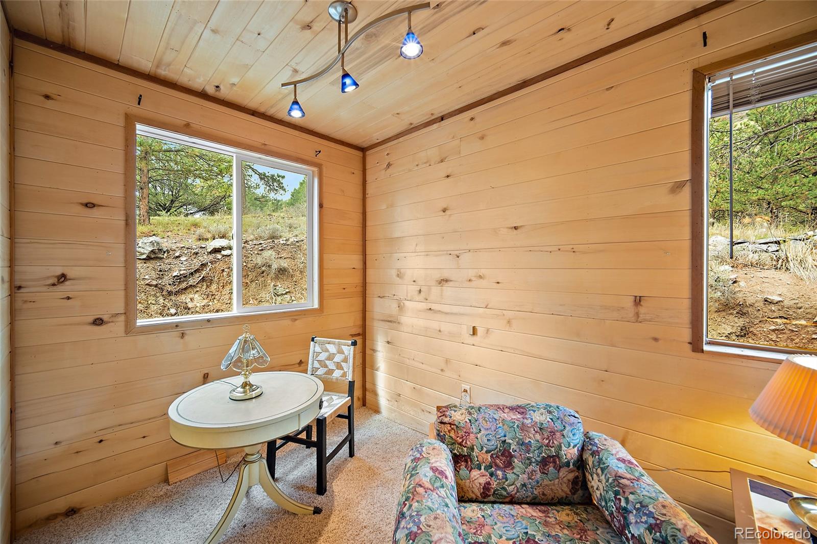 MLS Image #15 for 161  county road 329 ,westcliffe, Colorado