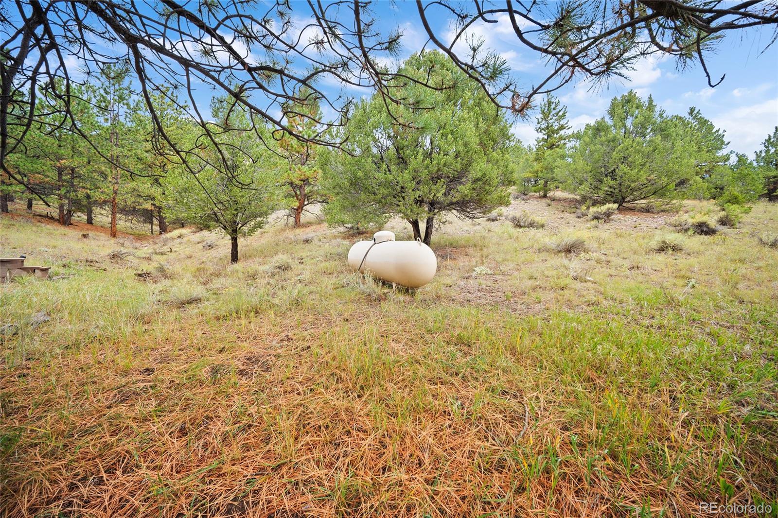 MLS Image #31 for 161  county road 329 ,westcliffe, Colorado