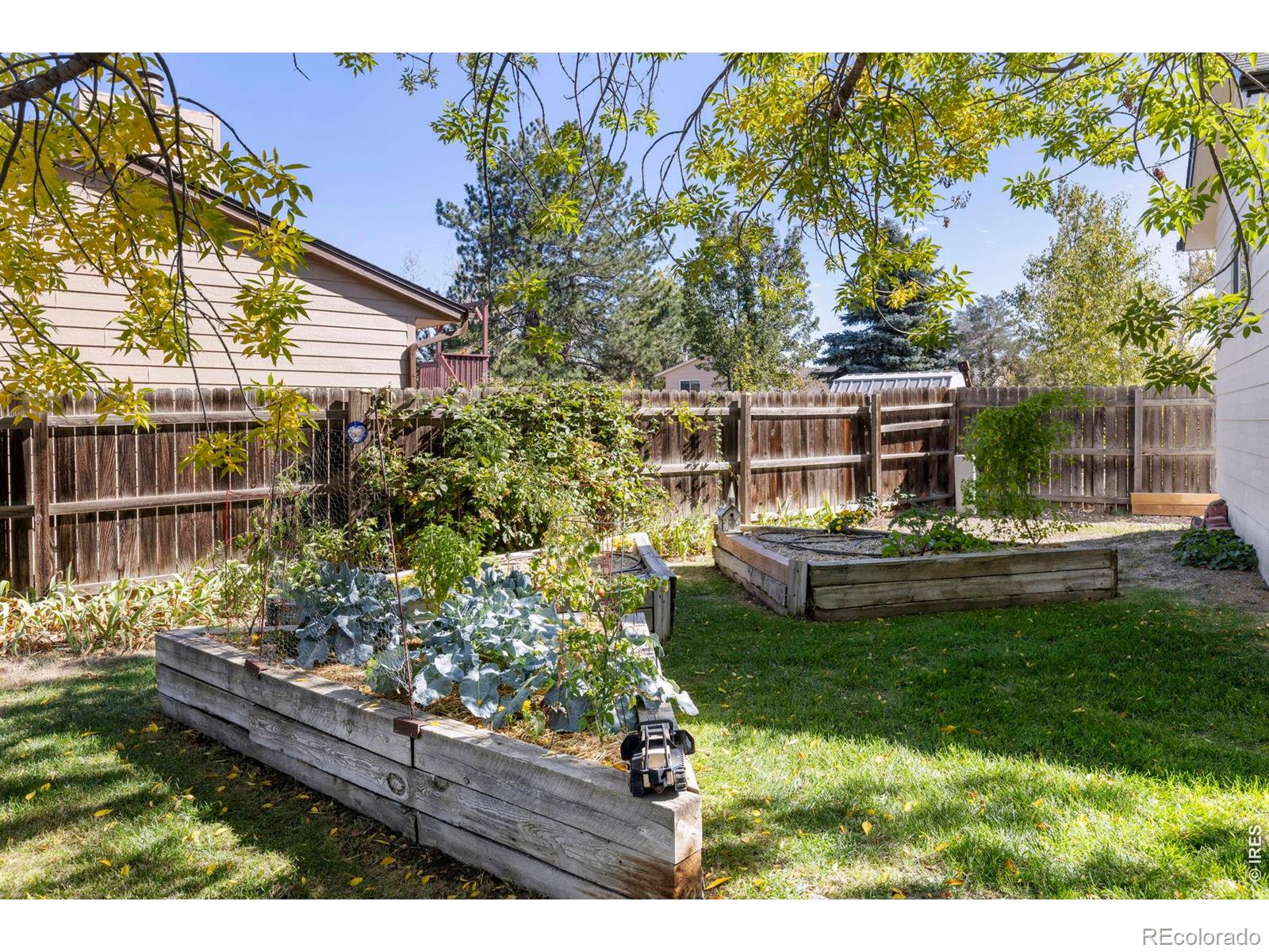 MLS Image #25 for 1221  picardy place,lafayette, Colorado