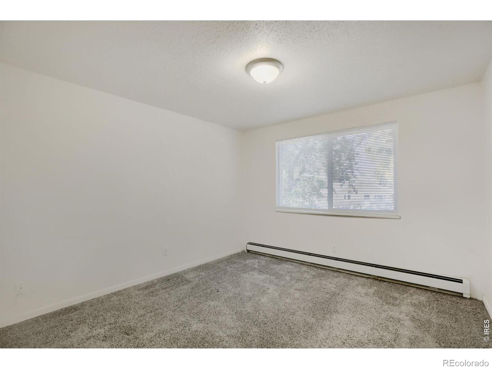 MLS Image #20 for 818  hubbard drive,longmont, Colorado