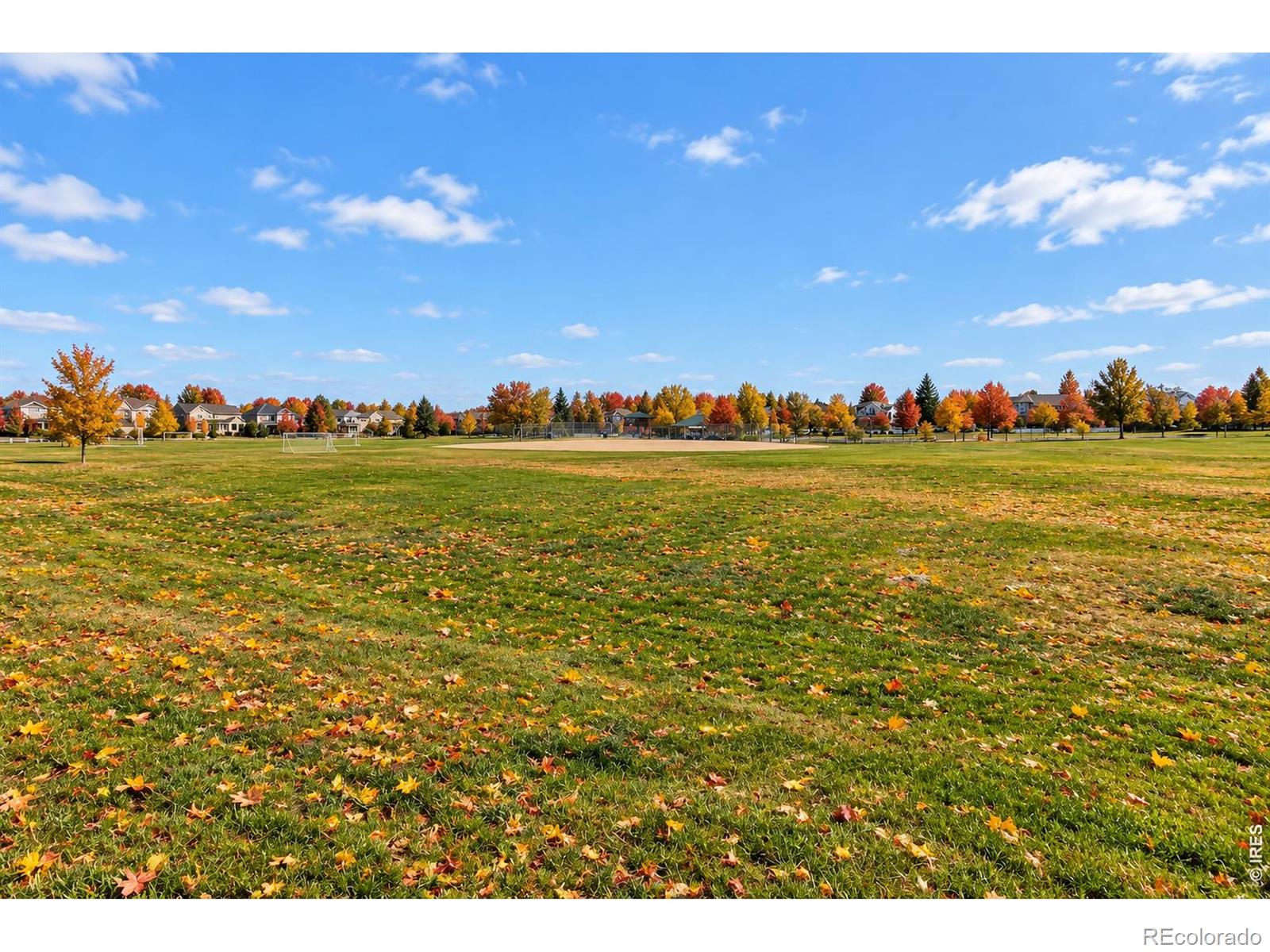 MLS Image #45 for 5126  pasadena way,broomfield, Colorado