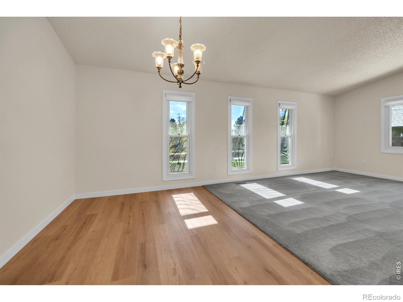 MLS Image #8 for 41  ruth road,broomfield, Colorado