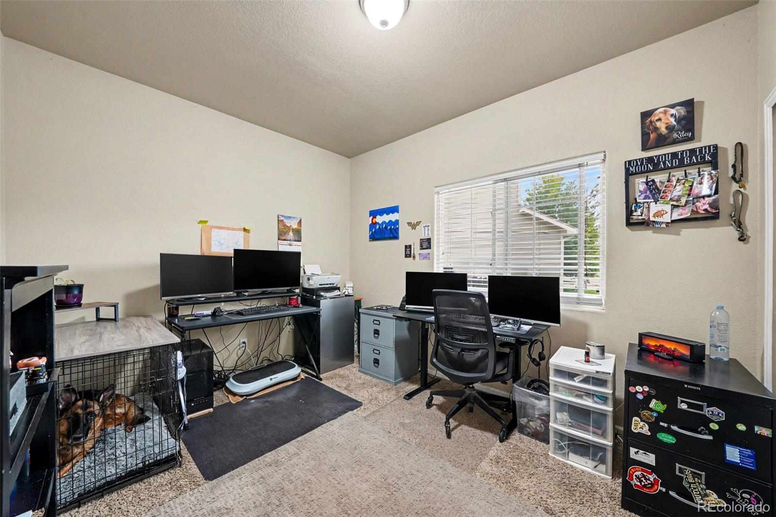 MLS Image #9 for 6847  sandyford lane,colorado springs, Colorado