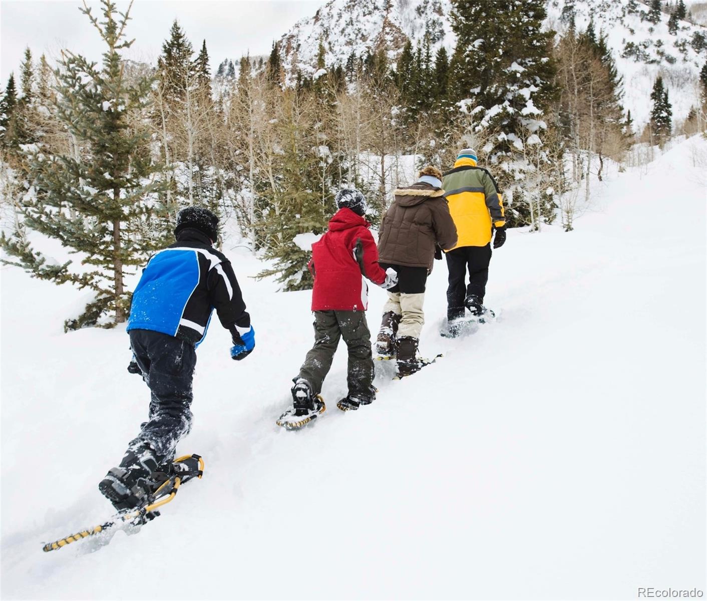 MLS Image #40 for 2862  newfound lake road,berthoud, Colorado
