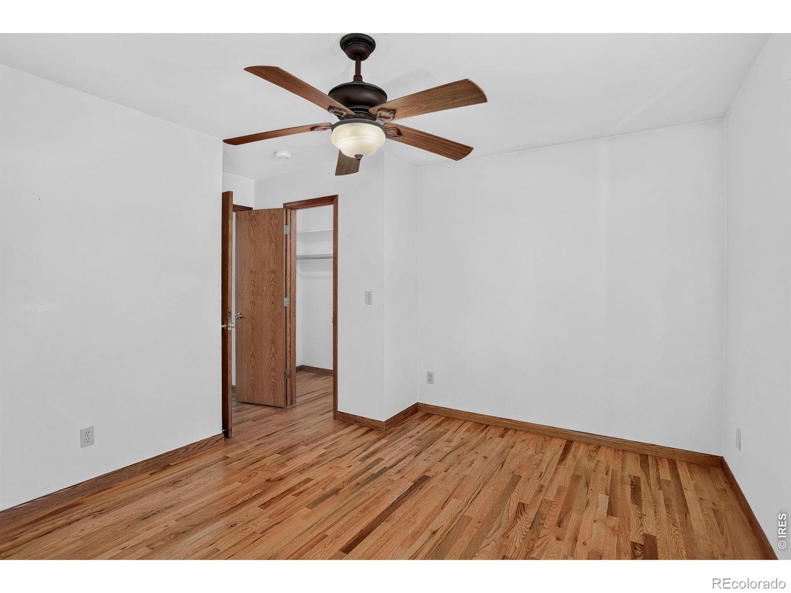 MLS Image #28 for 932  alexandria drive,loveland, Colorado