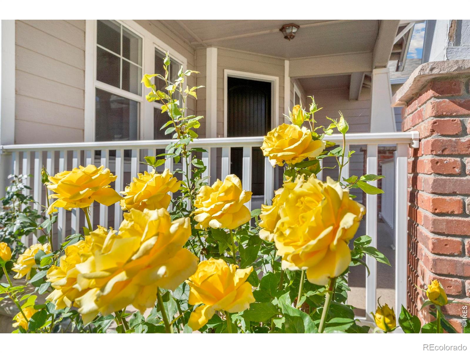 MLS Image #1 for 1398  warbler street,loveland, Colorado