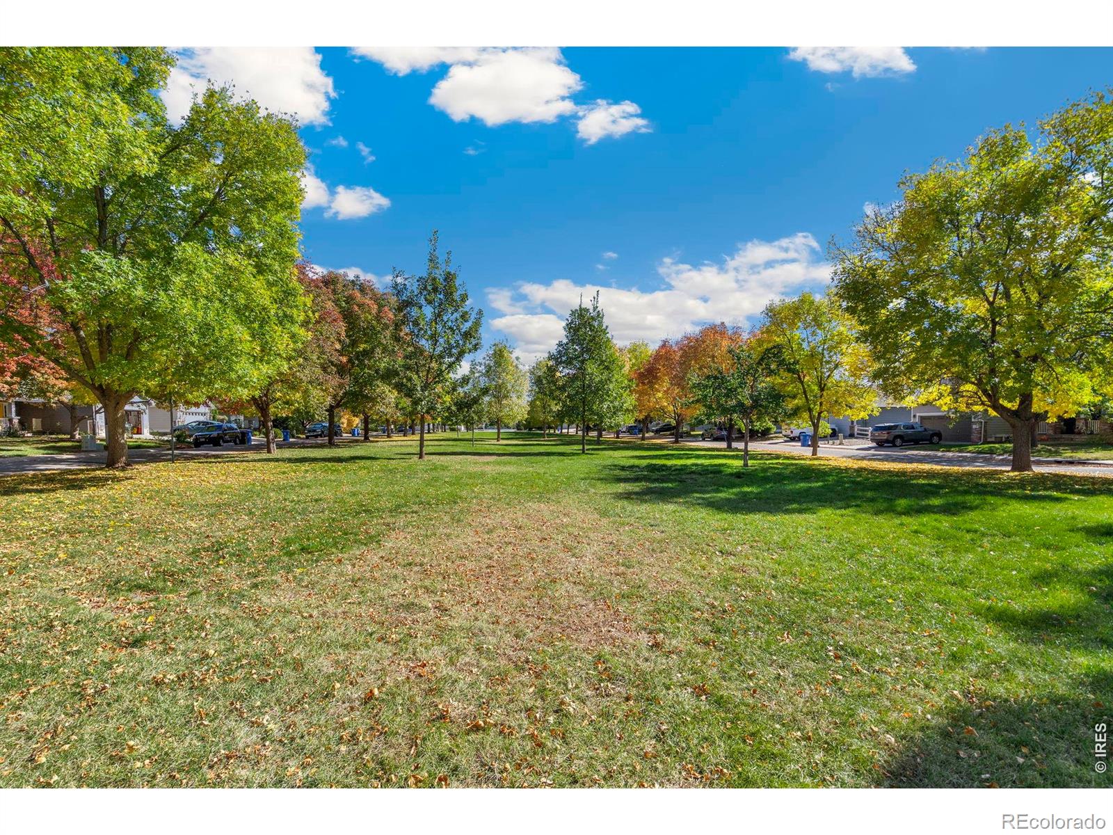 MLS Image #39 for 1398  warbler street,loveland, Colorado