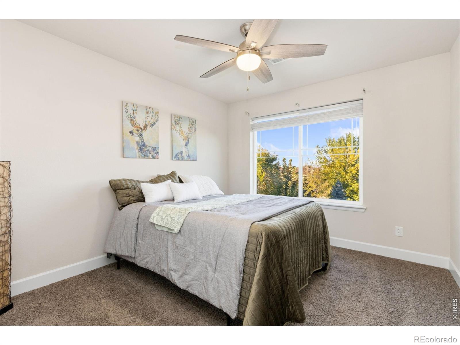 MLS Image #24 for 174  halibut drive,windsor, Colorado