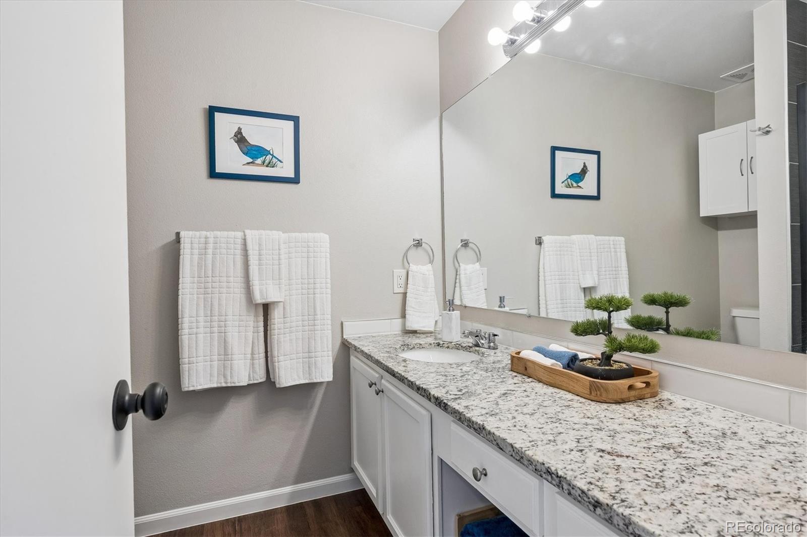MLS Image #16 for 9925  apollo bay way,highlands ranch, Colorado
