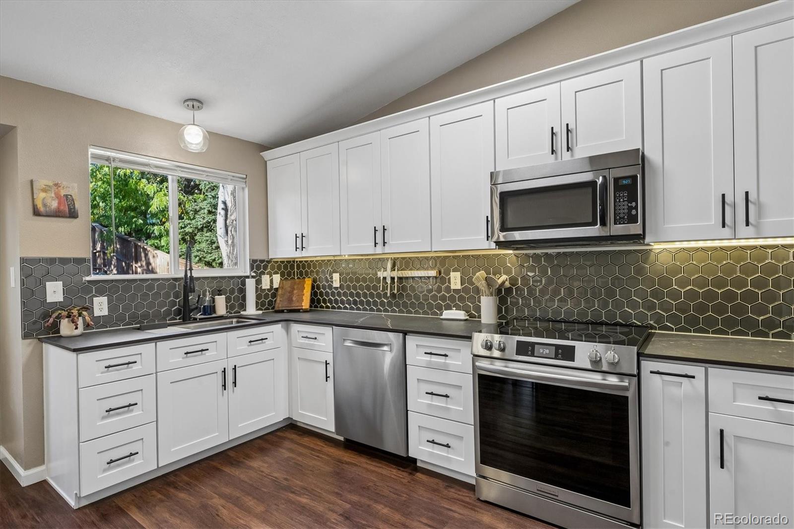 MLS Image #2 for 9925  apollo bay way,highlands ranch, Colorado