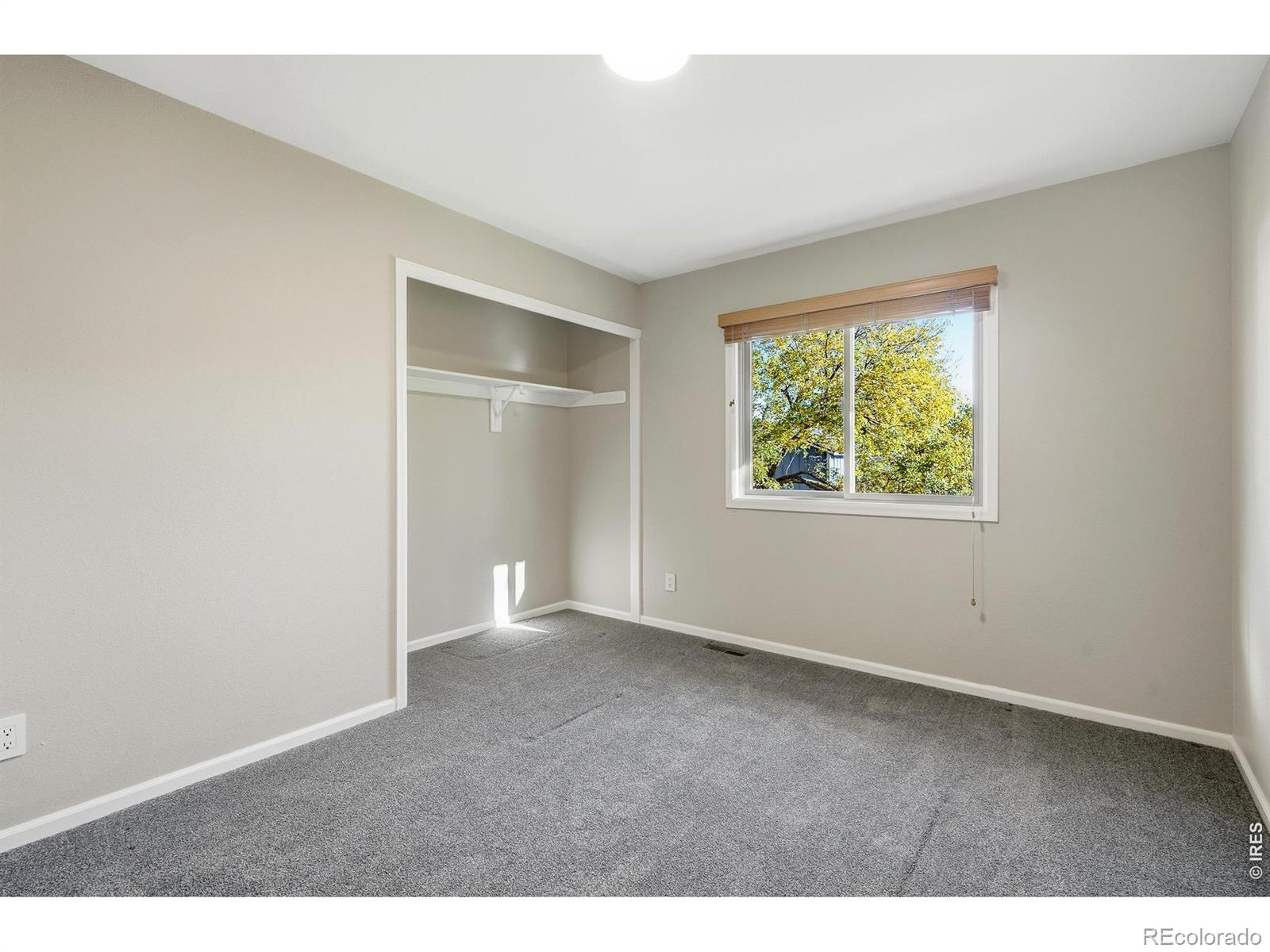 MLS Image #26 for 10746  hobbit lane,westminster, Colorado