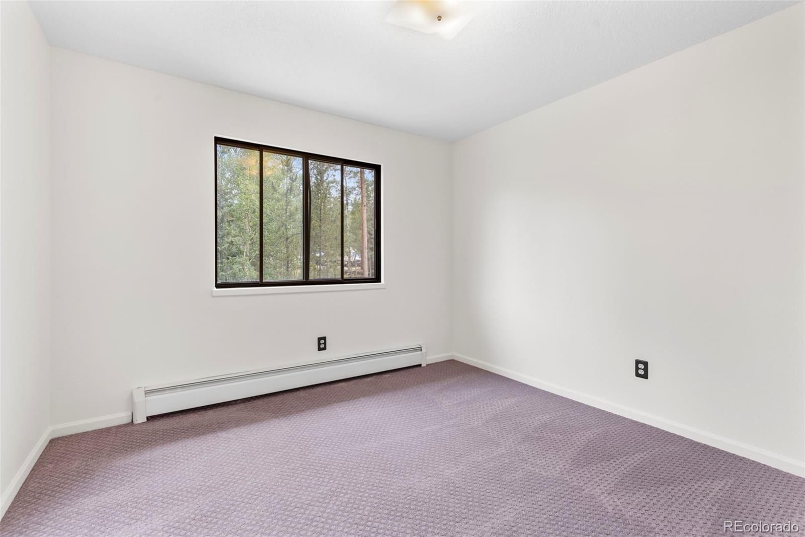 MLS Image #19 for 641  ryan gulch road,silverthorne, Colorado
