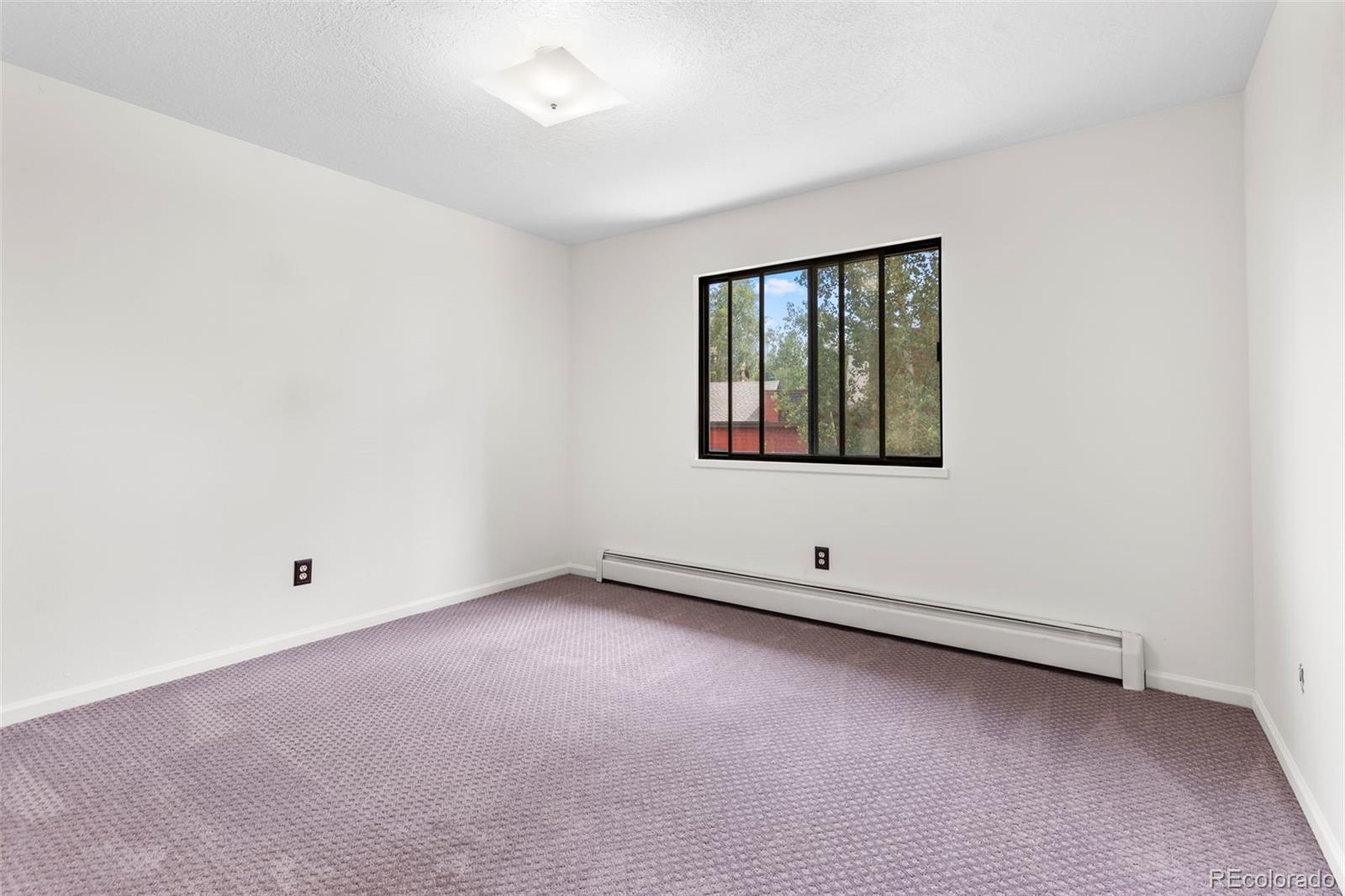 MLS Image #21 for 641  ryan gulch road,silverthorne, Colorado