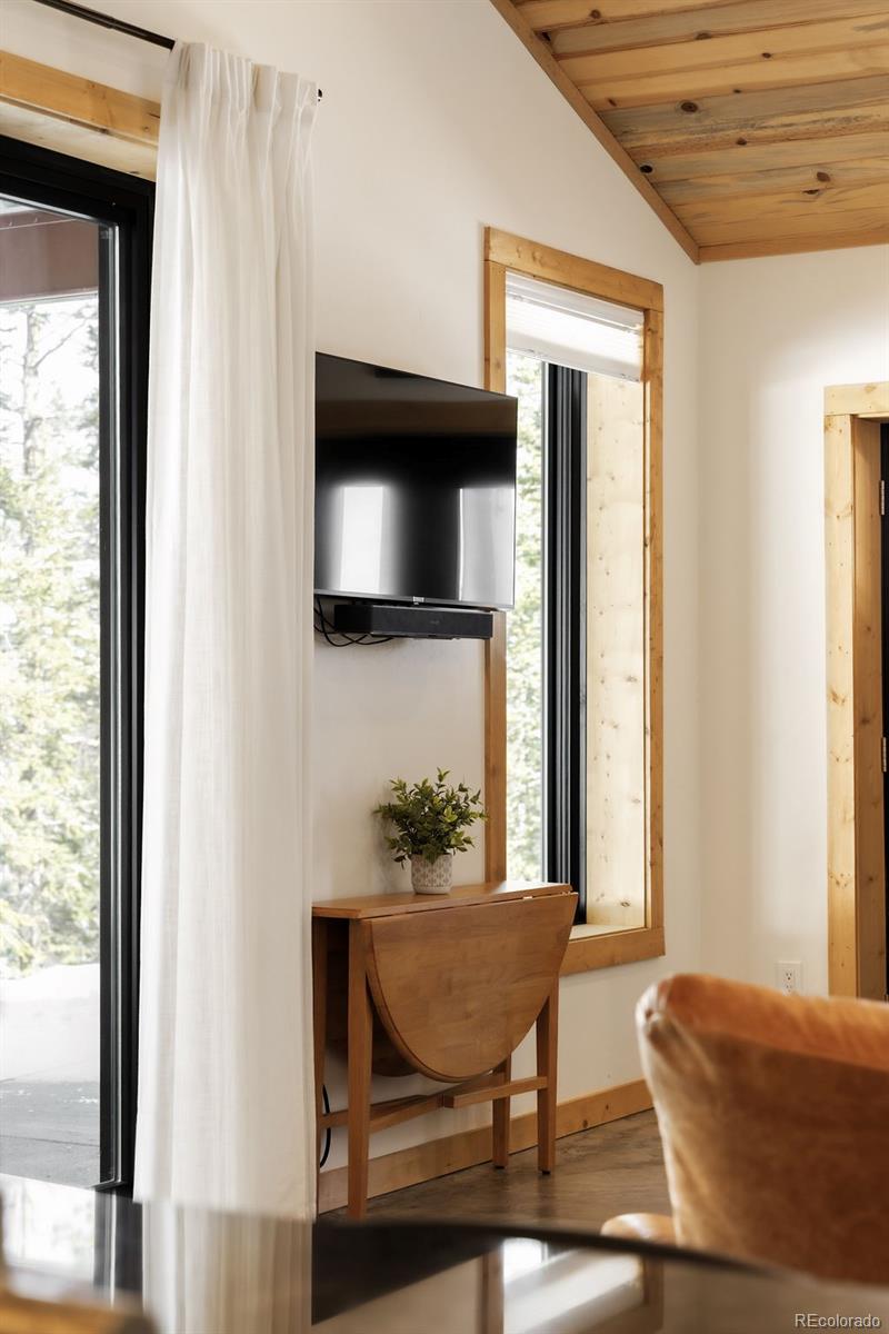 MLS Image #13 for 169  puma place,fairplay, Colorado