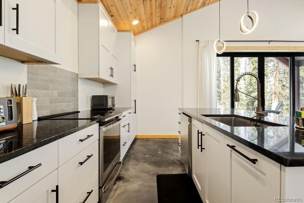 MLS Image #16 for 169  puma place,fairplay, Colorado