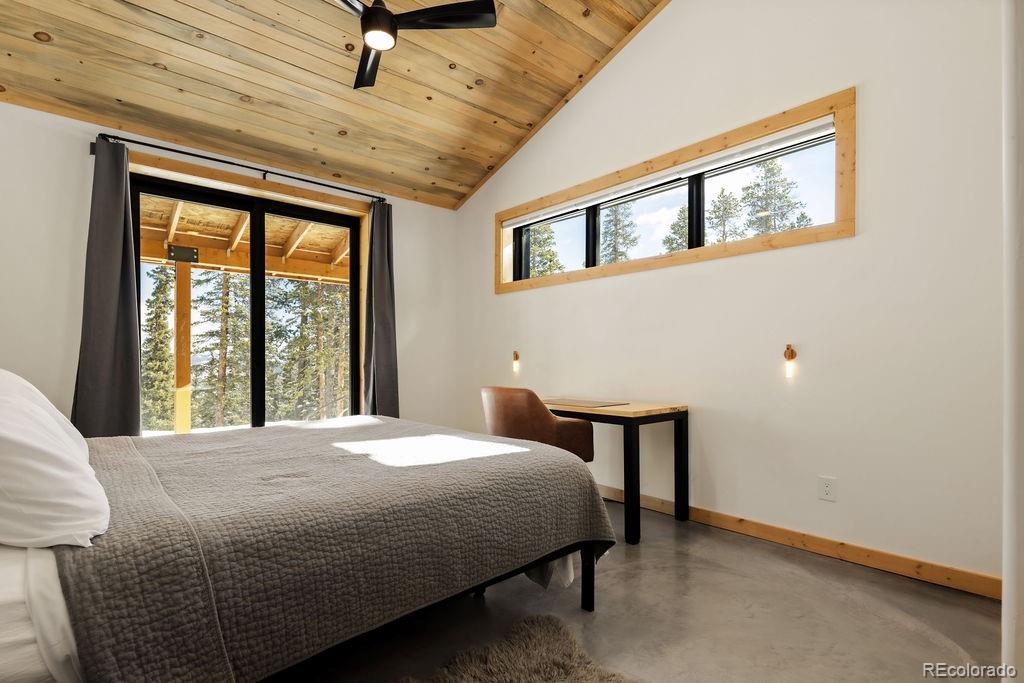 MLS Image #18 for 169  puma place,fairplay, Colorado