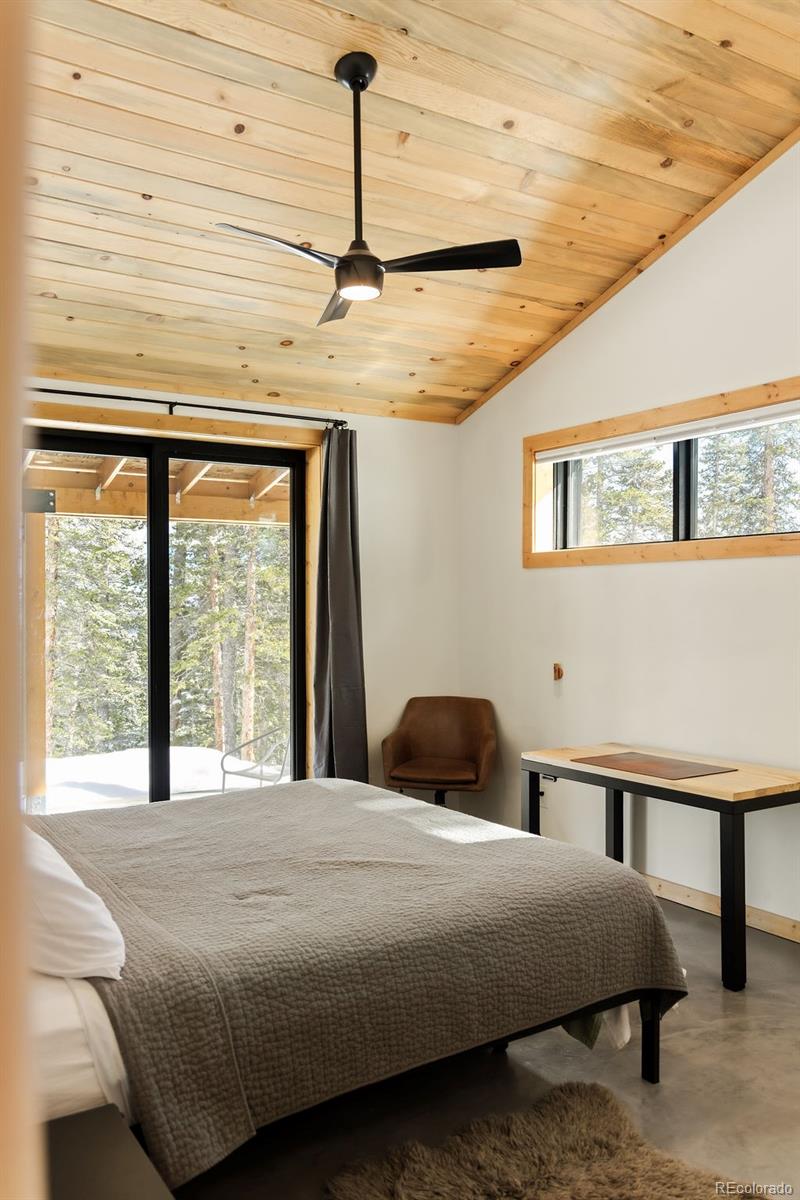 MLS Image #19 for 169  puma place,fairplay, Colorado
