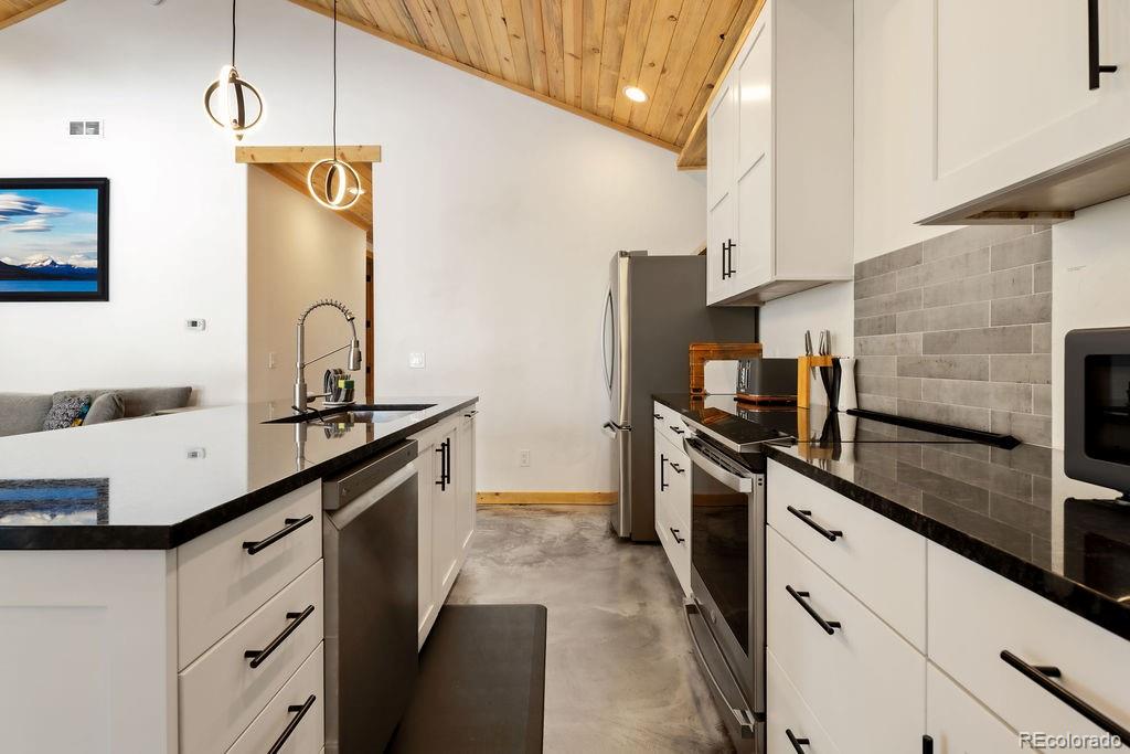 MLS Image #2 for 169  puma place,fairplay, Colorado