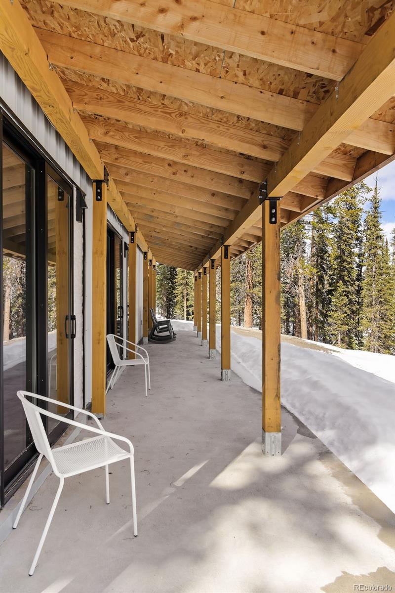 MLS Image #22 for 169  puma place,fairplay, Colorado