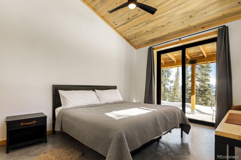 MLS Image #3 for 169  puma place,fairplay, Colorado