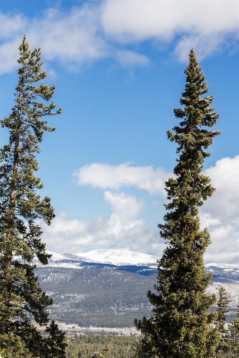 MLS Image #42 for 169  puma place,fairplay, Colorado