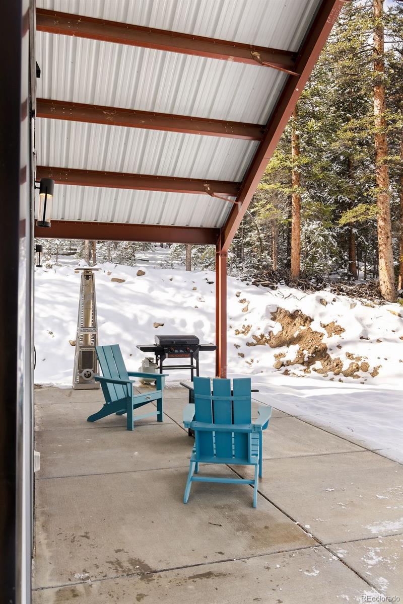 MLS Image #45 for 169  puma place,fairplay, Colorado