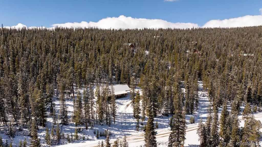 MLS Image #46 for 169  puma place,fairplay, Colorado