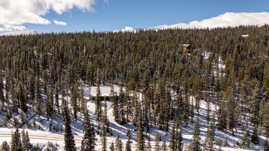 MLS Image #48 for 169  puma place,fairplay, Colorado