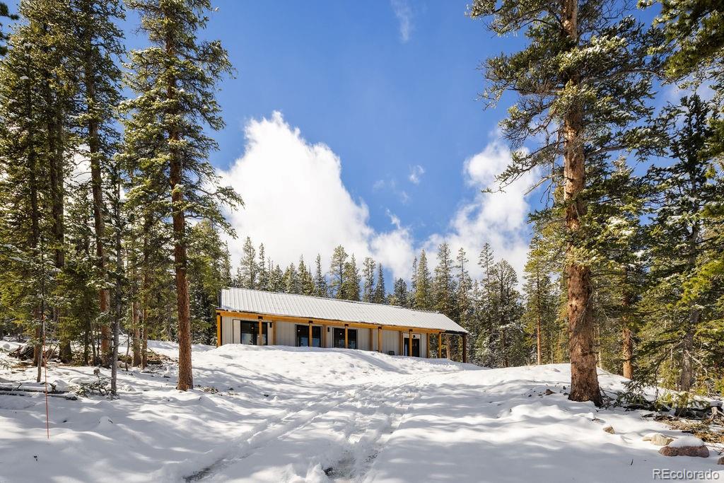 MLS Image #6 for 169  puma place,fairplay, Colorado