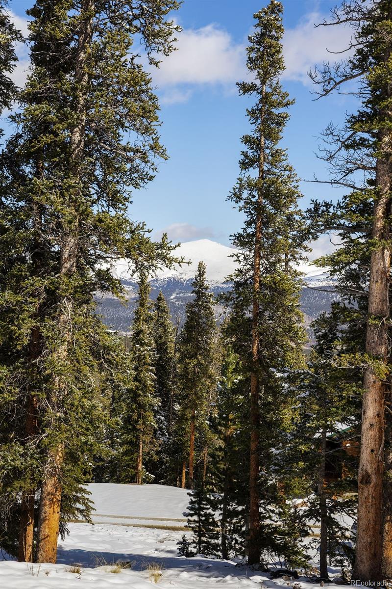 MLS Image #8 for 169  puma place,fairplay, Colorado