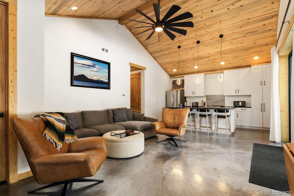 MLS Image #9 for 169  puma place,fairplay, Colorado