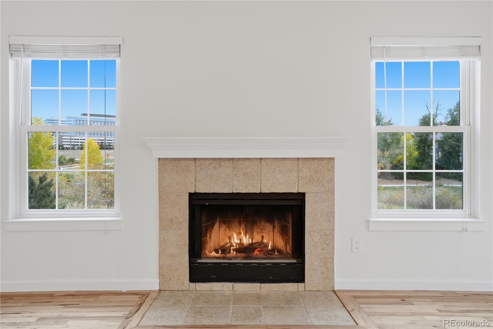 MLS Image #4 for 9293 e arbor circle,englewood, Colorado
